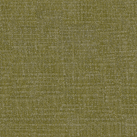 Arden Olive